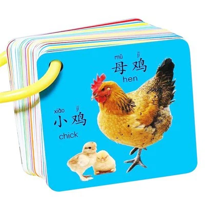 บัตรเรียนรู้ภาษาจีนและภาษาอังกฤษ