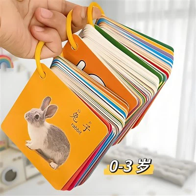 เด็กเรียนรู้แฟลชการ์ด