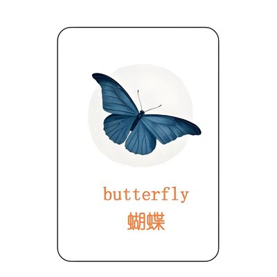 แฟลชการ์ดวิทยาศาสตร์