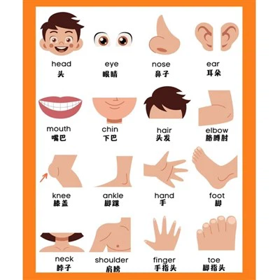 บัตรคำศัพท์วิทยาศาสตร์